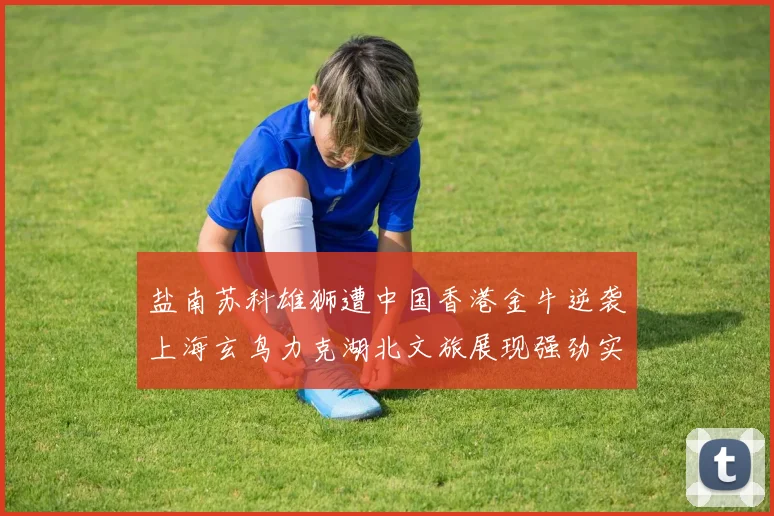 盐南苏科雄狮遭中国香港金牛逆袭上海玄鸟力克湖北文旅展现强劲实力