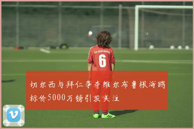 切尔西与拜仁争夺维尔布鲁根海鸥标价5000万镑引发关注