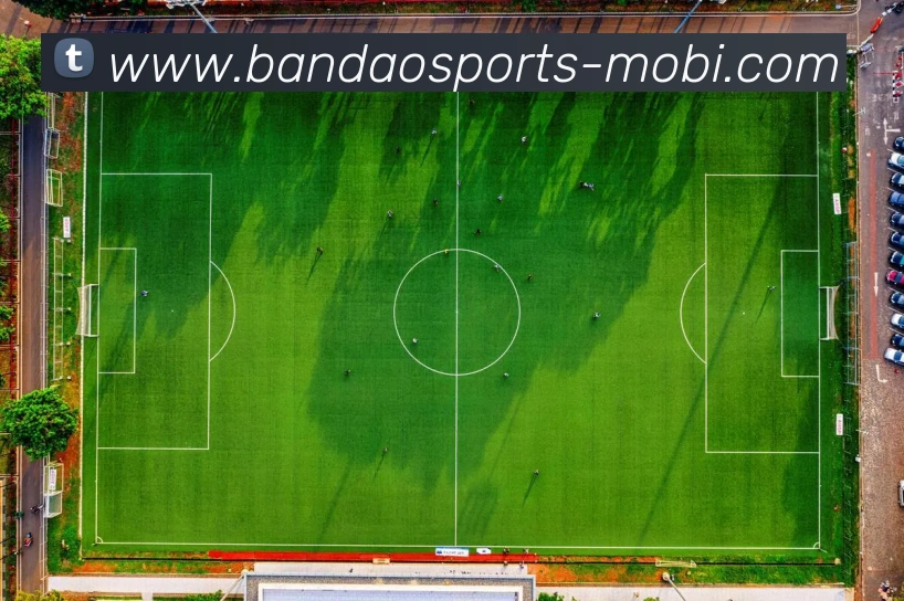 半岛体育APP 封面图